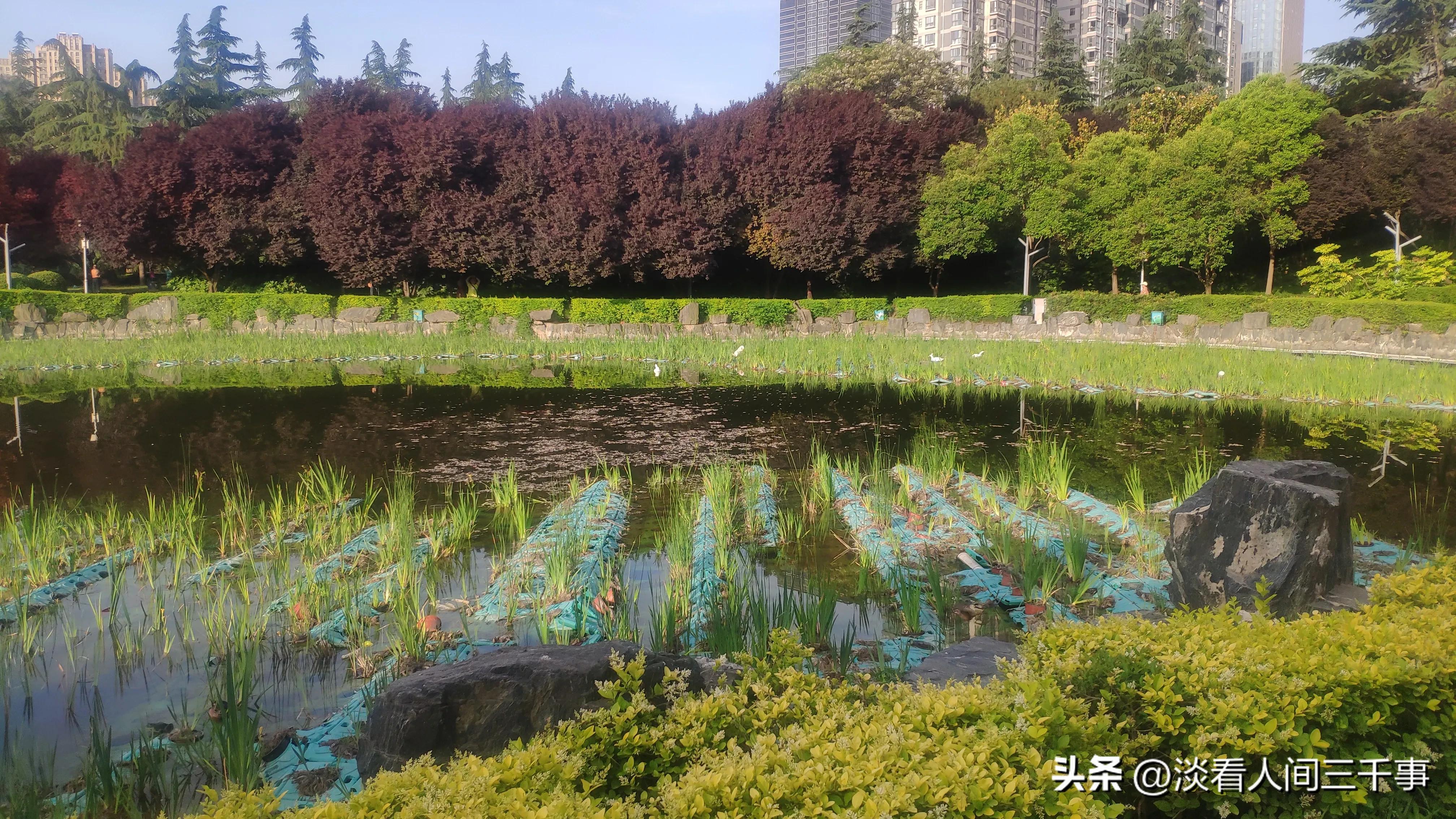 西安高新区新纪元公园电话,西安新纪元公园是免费的吗