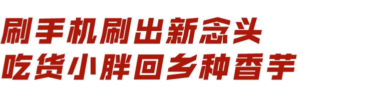 现在年轻人每天都想什么,现在的年轻人都在想什么