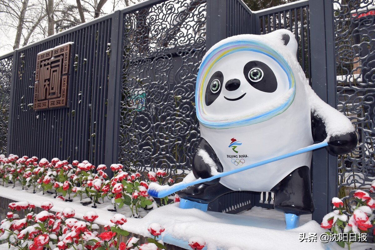 想实现“冰墩墩”自由?@沈阳人 收好这份淘“墩”宝典