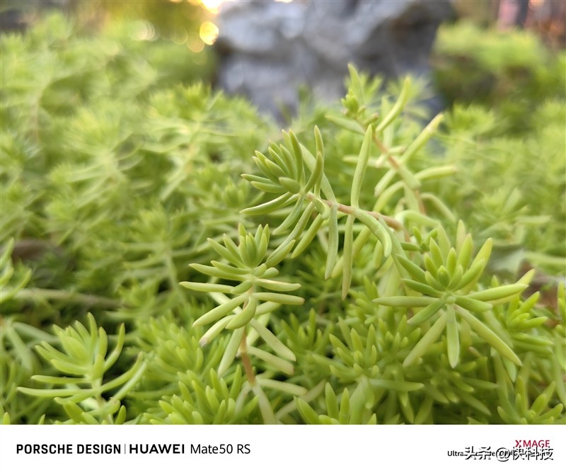 华为mate50rs保时捷设计超微距长焦,华为mate50rs保时捷4g网络评测