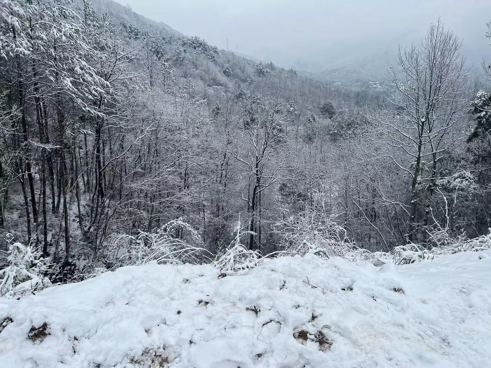 希望这次是动真格的，广元将用三年时间，打造“川北美食之都”！