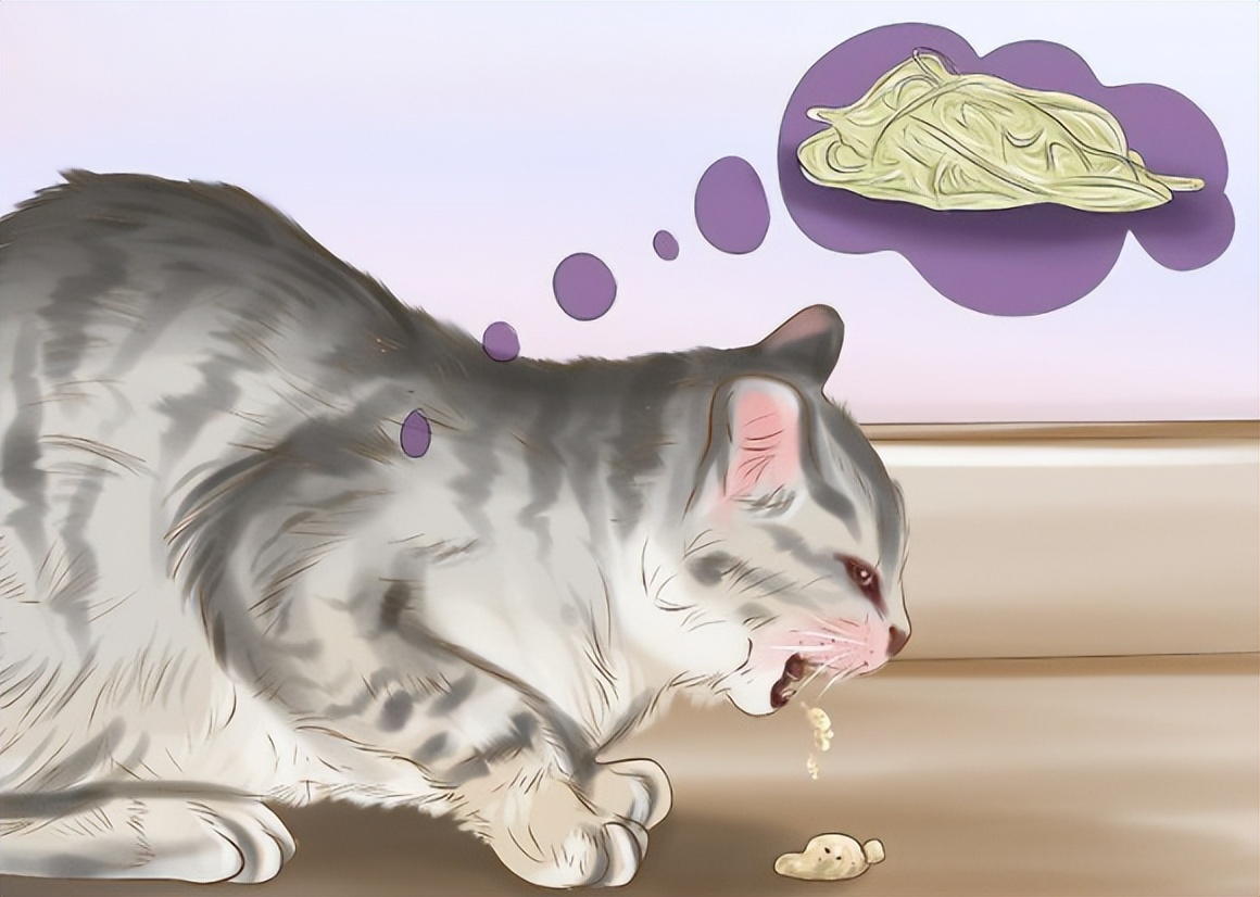 1到4个月猫咪驱虫的正确方法,猫咪驱虫的正确方法体外如何操作