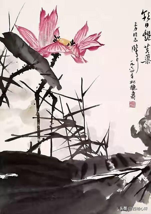 接天莲叶无穷碧映日荷花图片大全,莲叶无穷碧映日荷花别样红三幅图