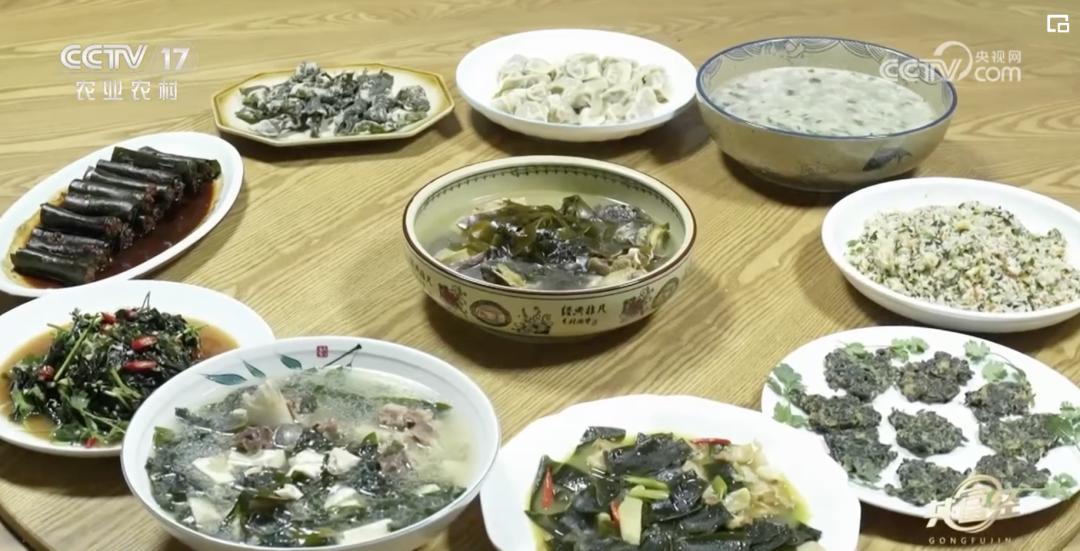 看似不起眼实则很赚钱,养殖场一年能赚多少钱