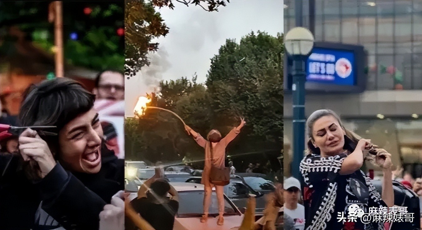 金晨模仿卡塔尔小王子晒照,金晨模仿卡塔尔王子被起诉了吗