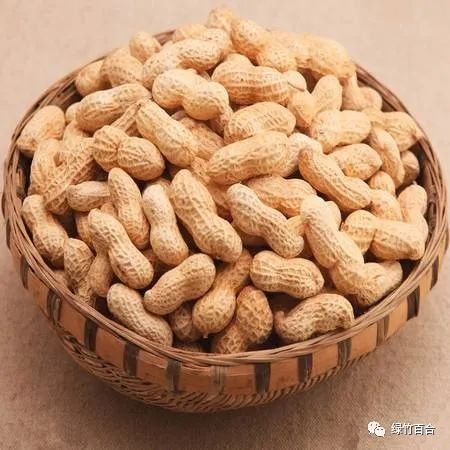 落花生课文,落花生的女儿