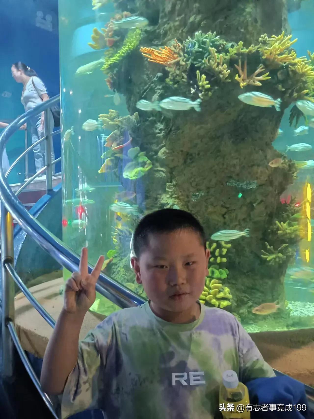 在西安去海洋馆,西安海底世界海洋馆