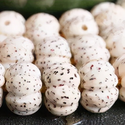 星月菩提有哪几种造型,星月菩提特殊造型