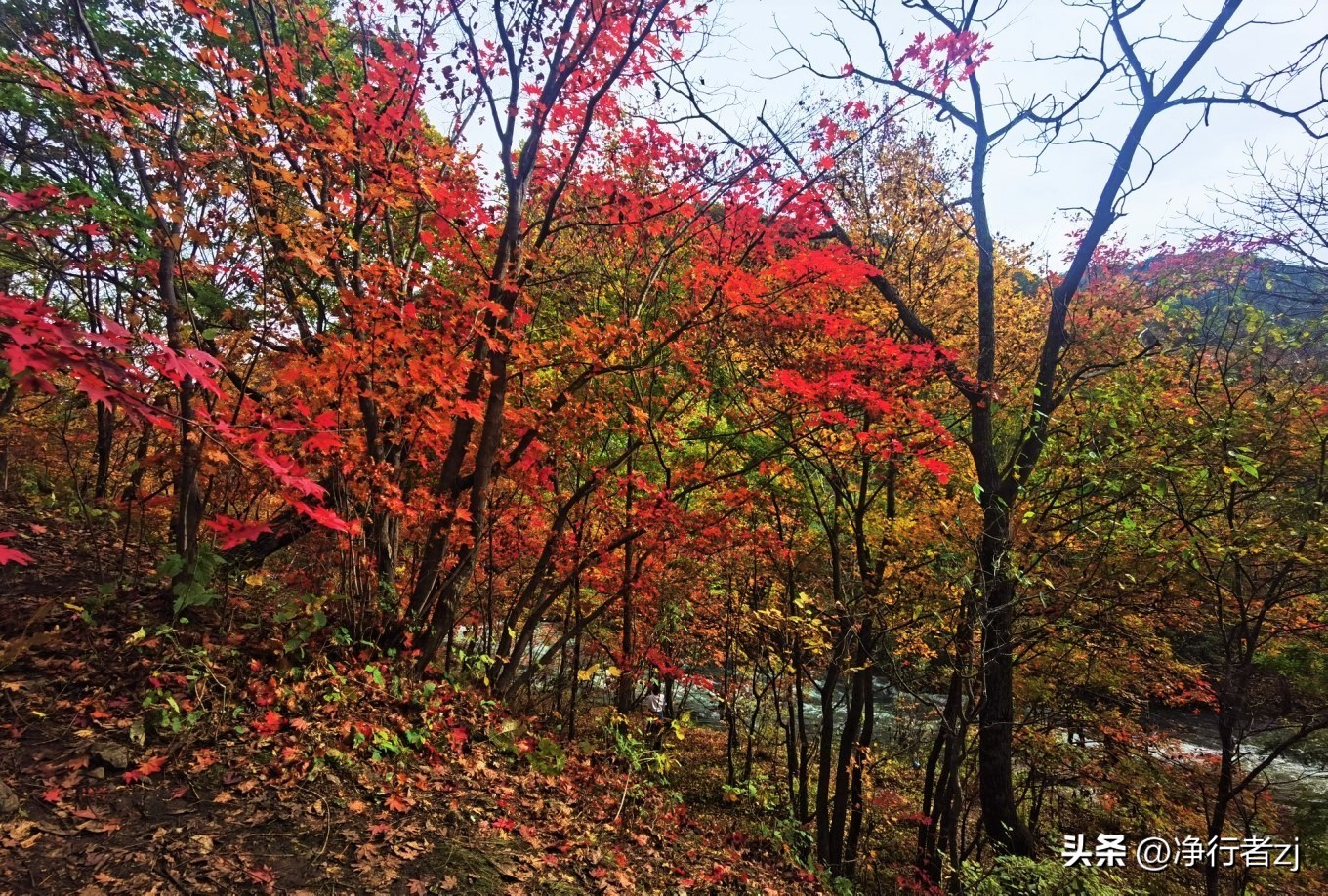 图们江口岸游记,从图们市到牡丹江自驾游