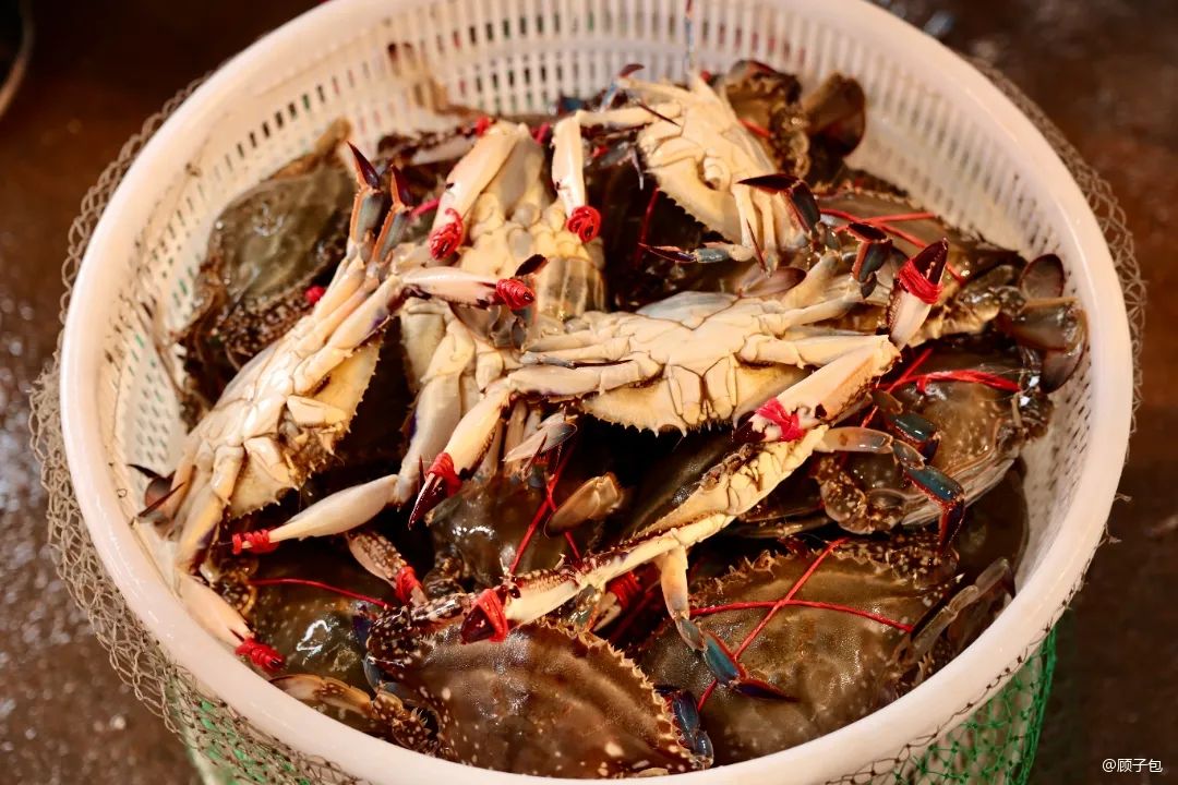 30万海景房,两百块钱的海景房推荐