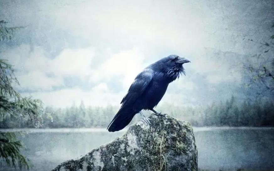 俗语：“家有三声叫，灾祸要来到”，是哪三声？可信吗？