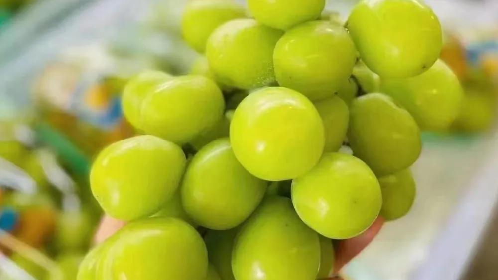 水果店开店流程,水果店怎么开店流程