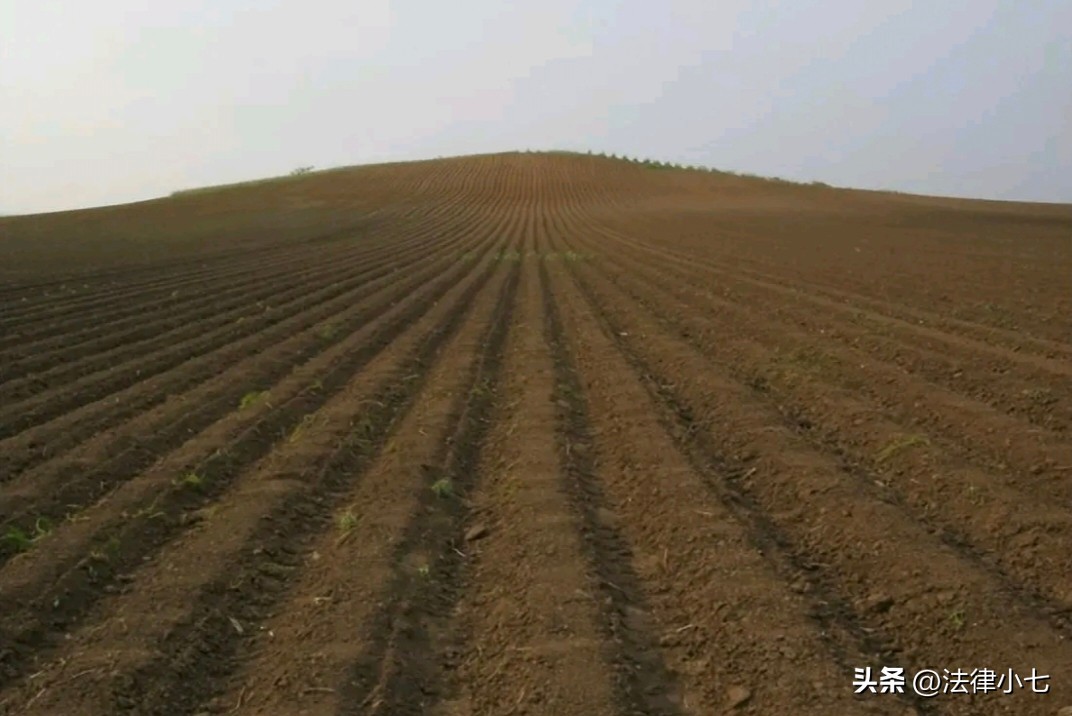 农民土地被侵占找哪个部门处理,农民土地被占找谁还