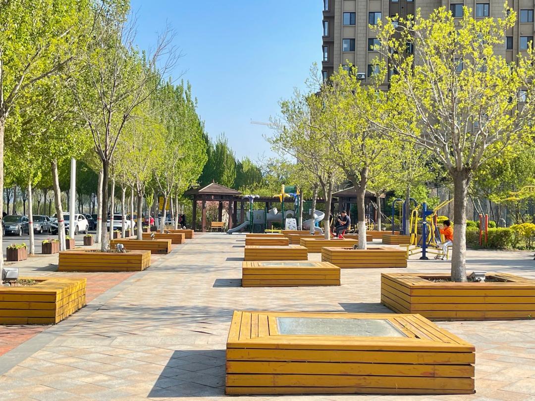 漫步南沙河，又是被“圈粉”的一天