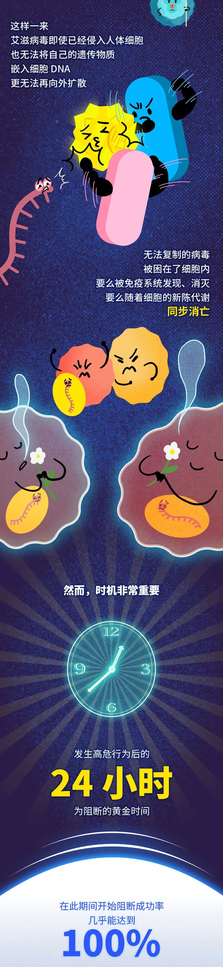 艾滋病毒入侵免疫系统的过程,艾滋病毒侵入大脑后能活多久