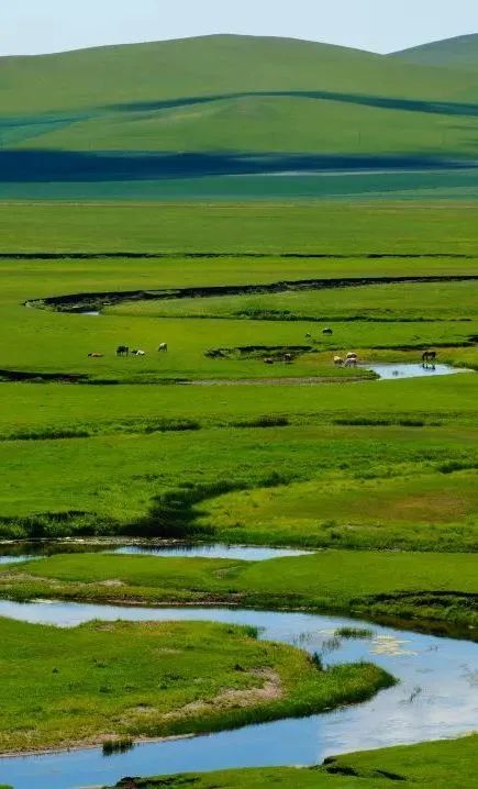 来打卡！锡林郭勒十大网红打卡地