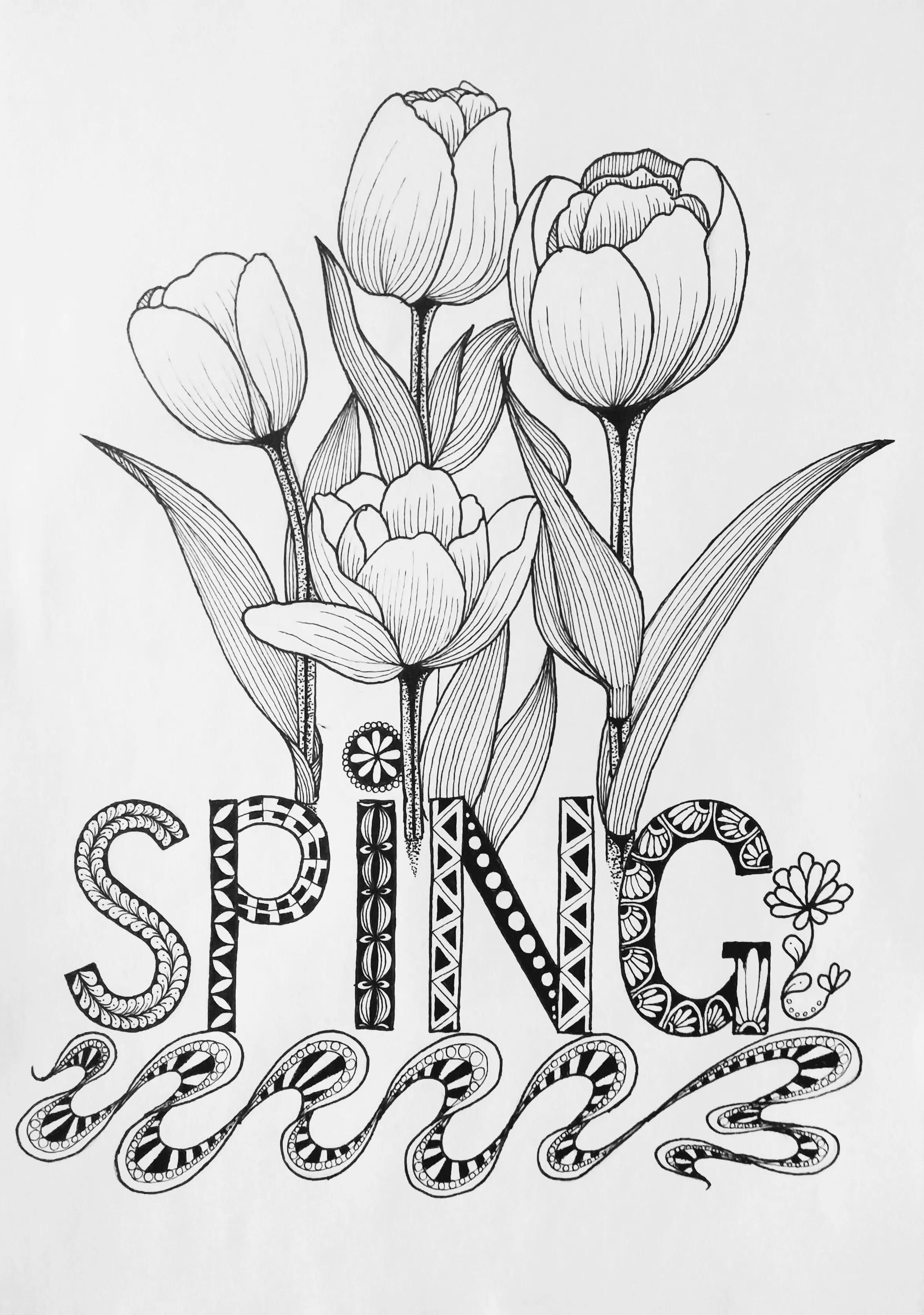 春天的郁金香绘画图片,线描画花朵简单又漂亮郁金香