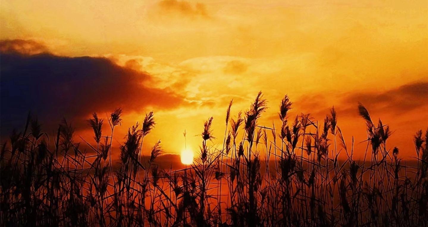 鏉ヨ嚜濉旈噷鏈ㄥ娌虫枃鑻戠殑鏁ｆ枃鍥涚瘒 (鏉ヨ嚜濉旈噷鏈ㄥ娌虫枃鑻戠殑缇庢枃浜旂瘒)