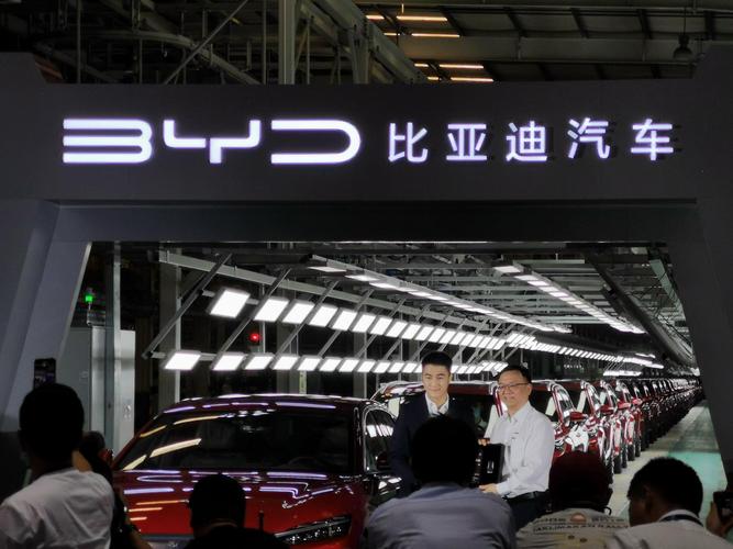 比亚迪概念股排名,比亚迪11月股市分析