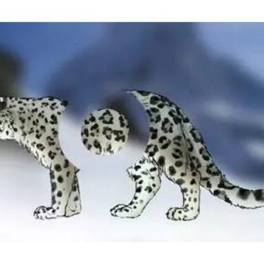 8个不为人知的实用ps技巧,ps高手全快捷键作图