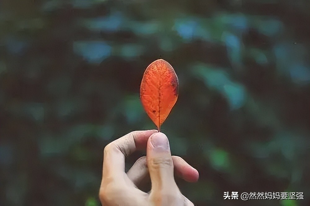 31岁宝妈回归职场 (全职宝妈辞职一年后回到职场)