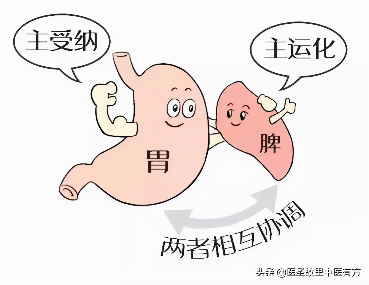 中医内科胃痛脾胃虚弱用什么方子,脾胃好百病消神曲