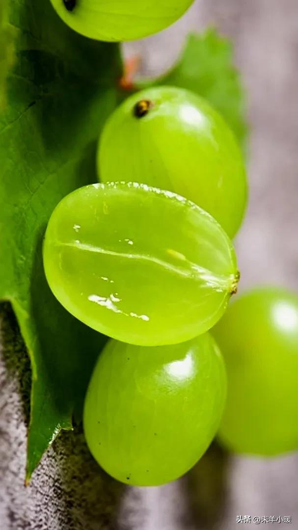 超清超美独一无二手机壁纸图片,养眼养心的壁纸