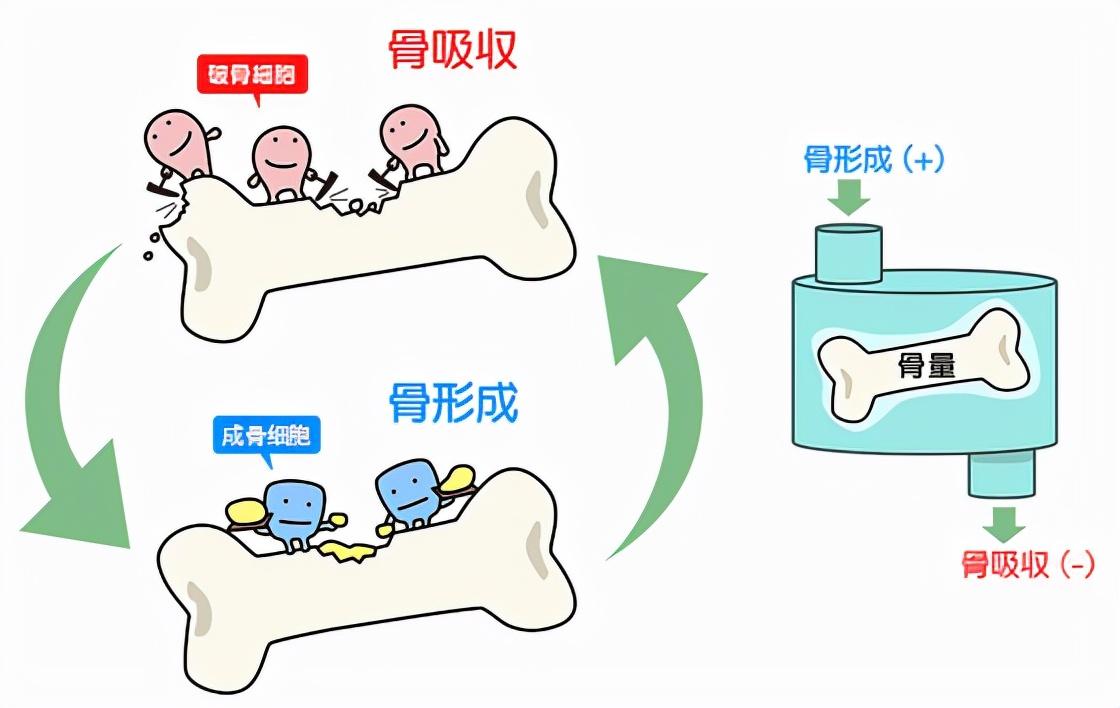 骨骼一碰就碎是什么病,骨骼一碰就碎