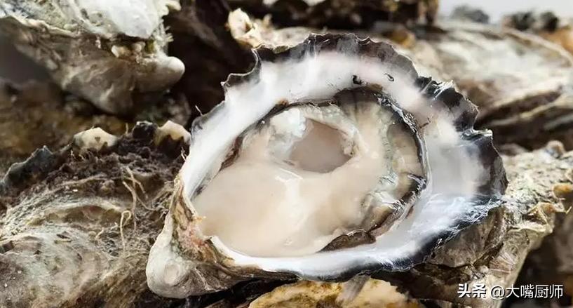 长得跟生蚝差不多的海鲜,长的一样价格相差很多