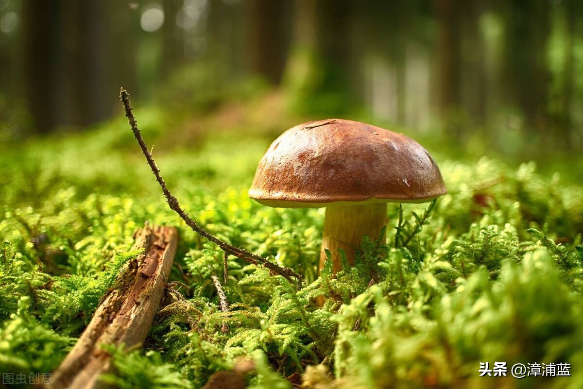 想要努力挽救一段关系却彻底破碎,当一段关系出现了裂痕之后