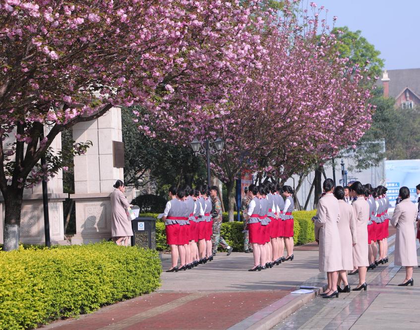 四川西南航空职业学院是什么风格,四川西南航空职业学院校园风采