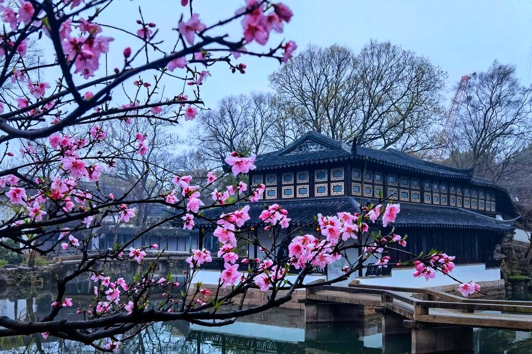 一次游完苏州4大园林攻略,逛苏州四大园林花费