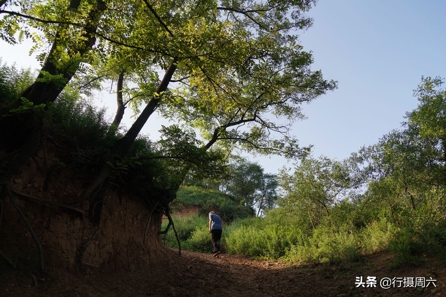 山西大叔占山为王40年后的生活,77岁农民大叔占山为王