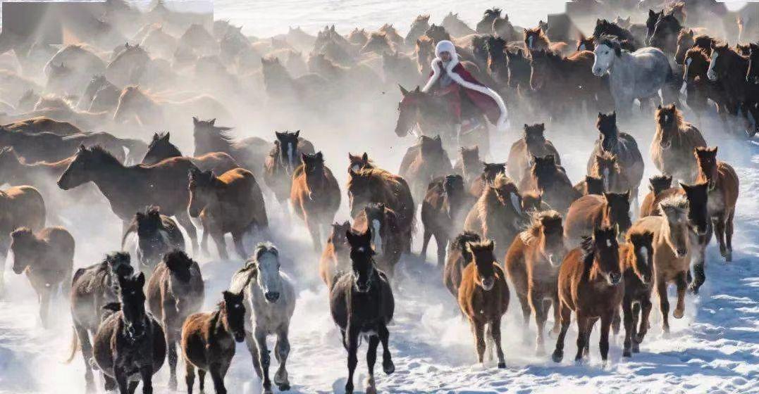 她中专学历，却成副县长，靠视频走红，直播3小时赚200万，凭啥