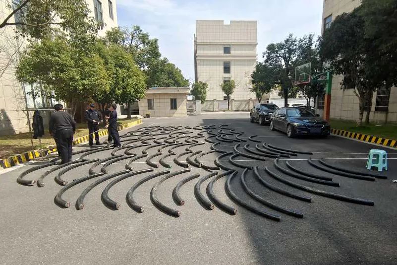 盗车团伙被端追回赃车17辆,团伙卖赃物已找回