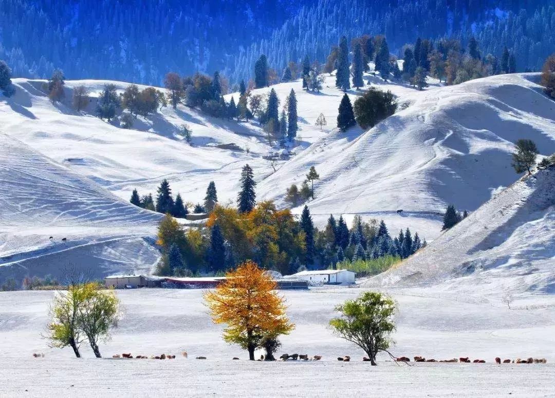 火了！新源又火了！全国瞩目，未来发展不可估量！为你的家乡比心