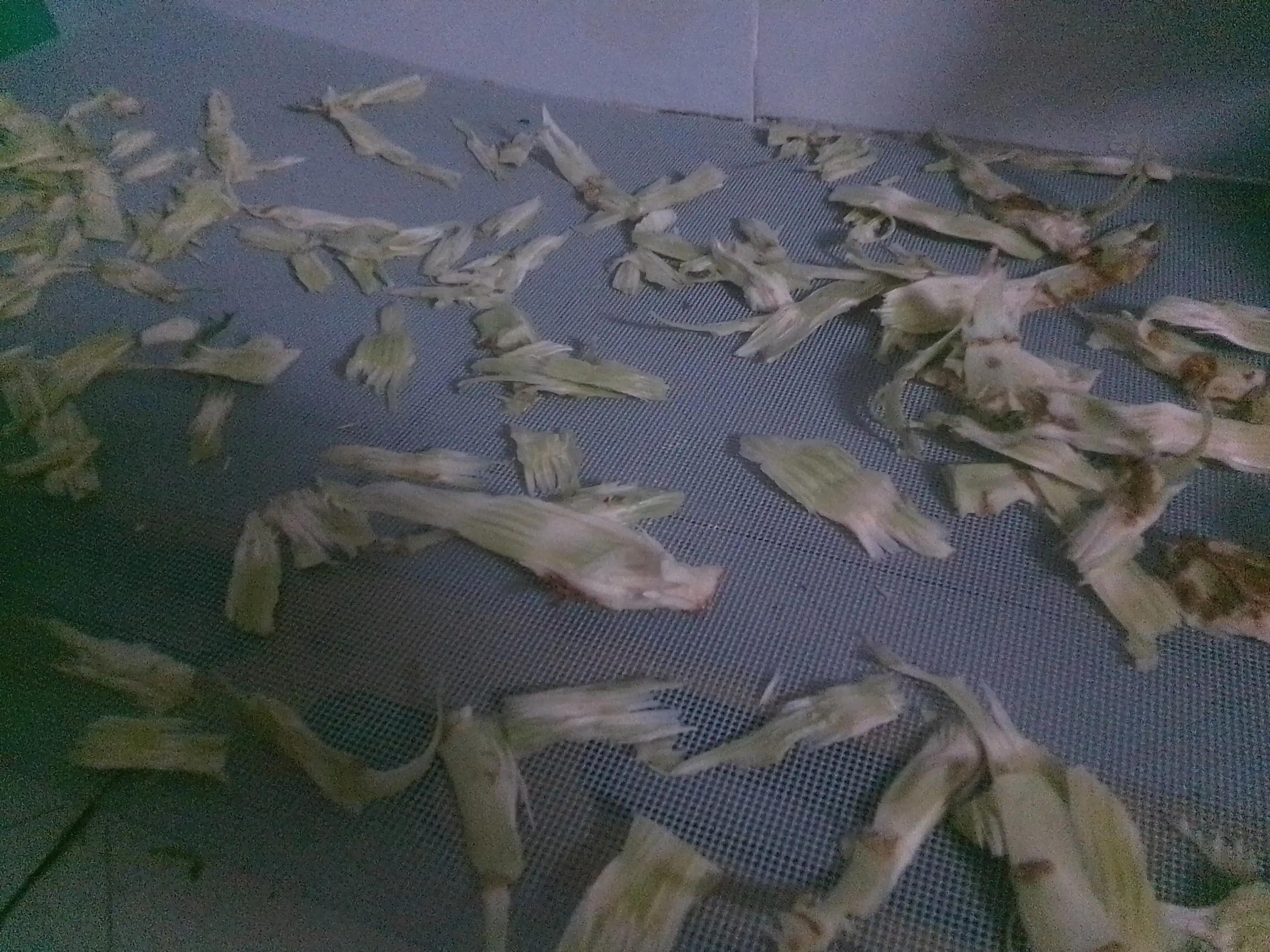 零排放垃圾处理,垃圾资源化处理的技术和方法