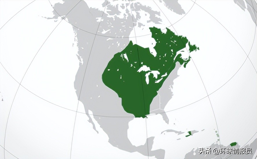 加拿大群岛现状,加拿大有的地方为什么被美国占领