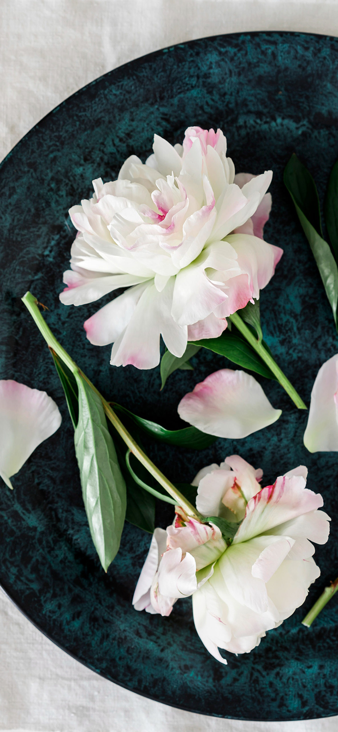 2023年手机壁纸,2023年最新款超清手机壁纸