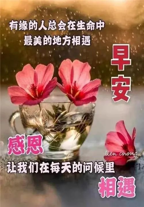 微信如何发好看的早上好图片,微信最漂亮的早上好图片带字问候