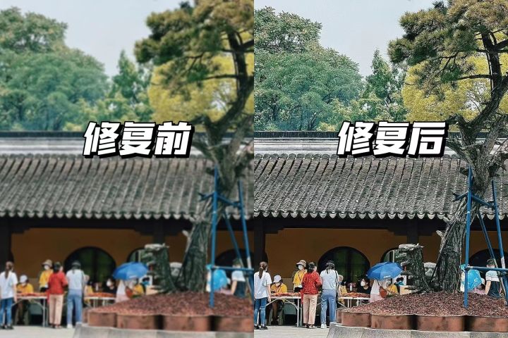 手机拍照自动点数功能的app,好用的手机拍照后期软件