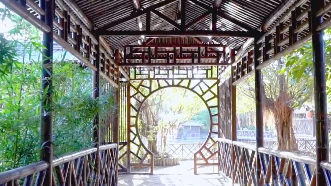 竹山县培育壮大竹产业,竹产业资源整合