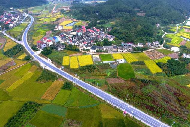 山东十大土豪村南山村,山东十大土豪村排行榜