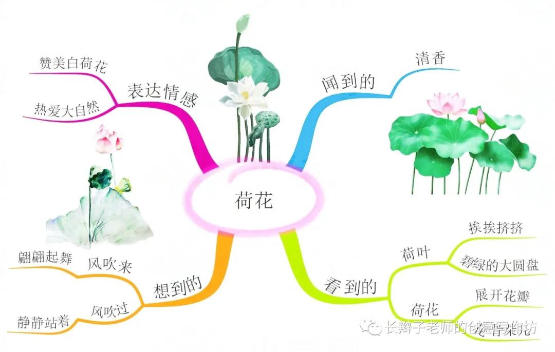 三年级下册语文13课花钟思维导图,语文三年级基础知识点思维导图