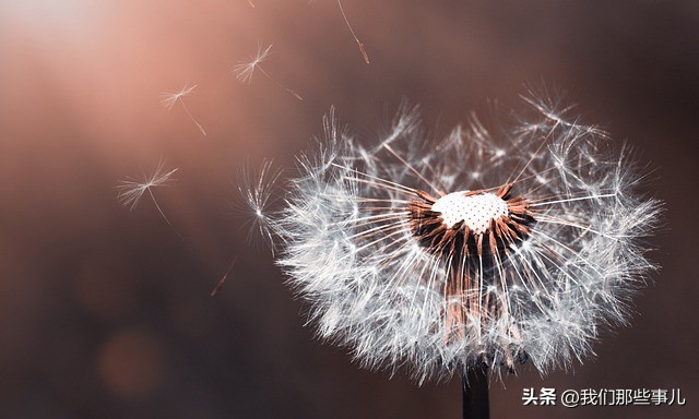 做梦梦到离世的人是什么征兆,梦见有人离世是什么征兆