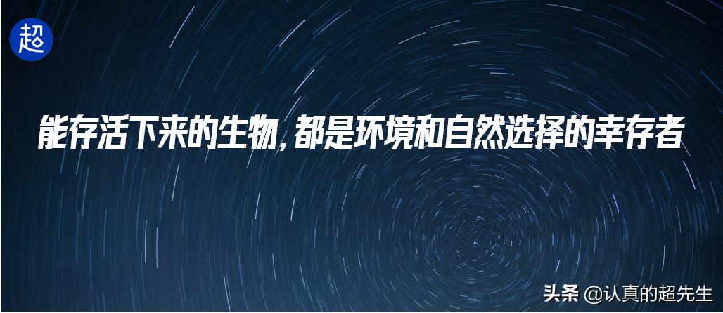 黑莓系统最安全的手机,目前黑莓手机安全