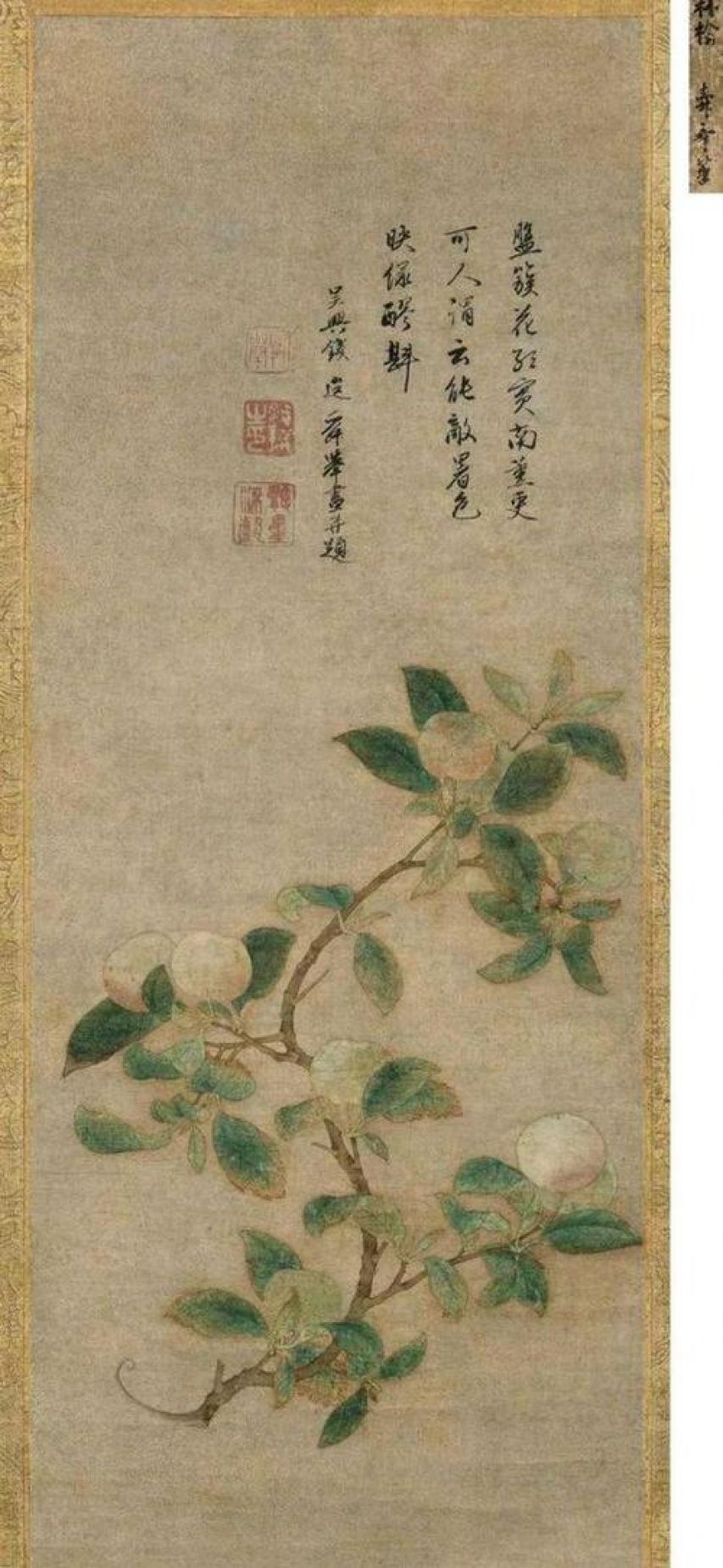 苹果在古代叫什么,苹果在古代的雅称