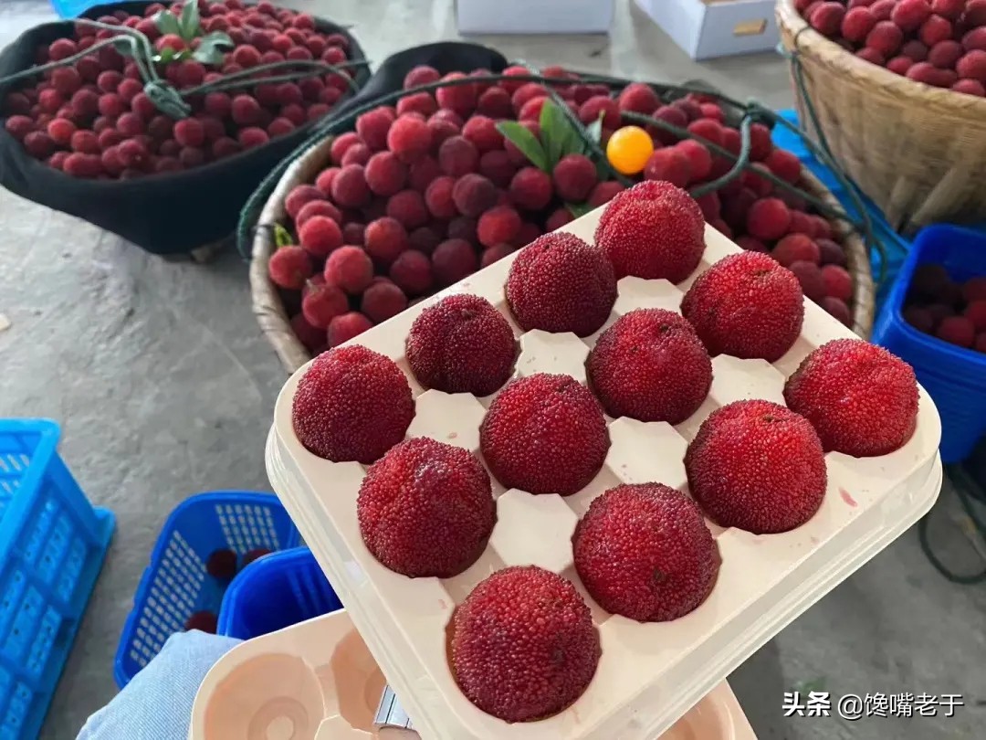 洗杨梅用醋,洗杨梅别只会用盐