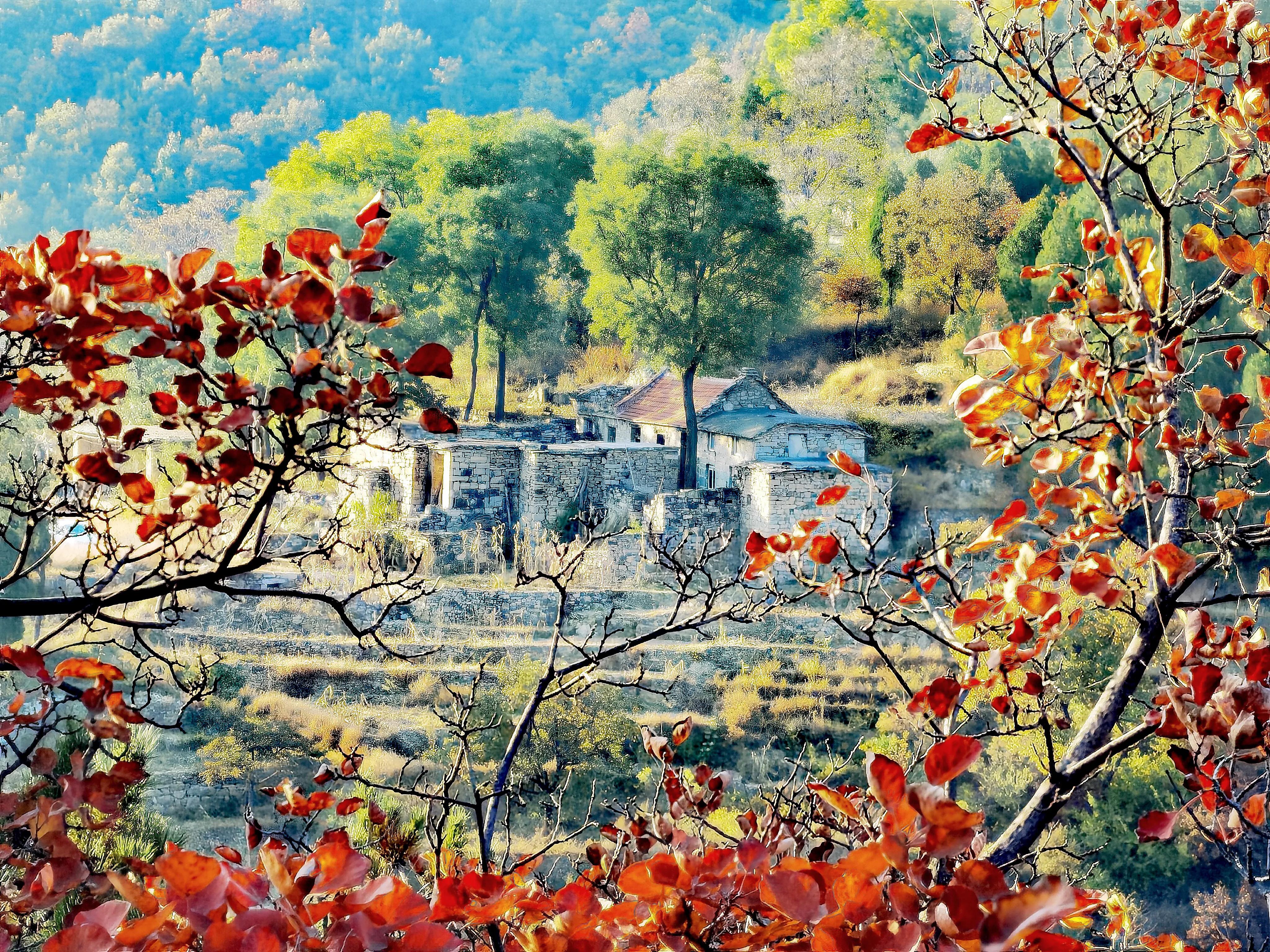 手拍世界作品专集,手拍世界283期