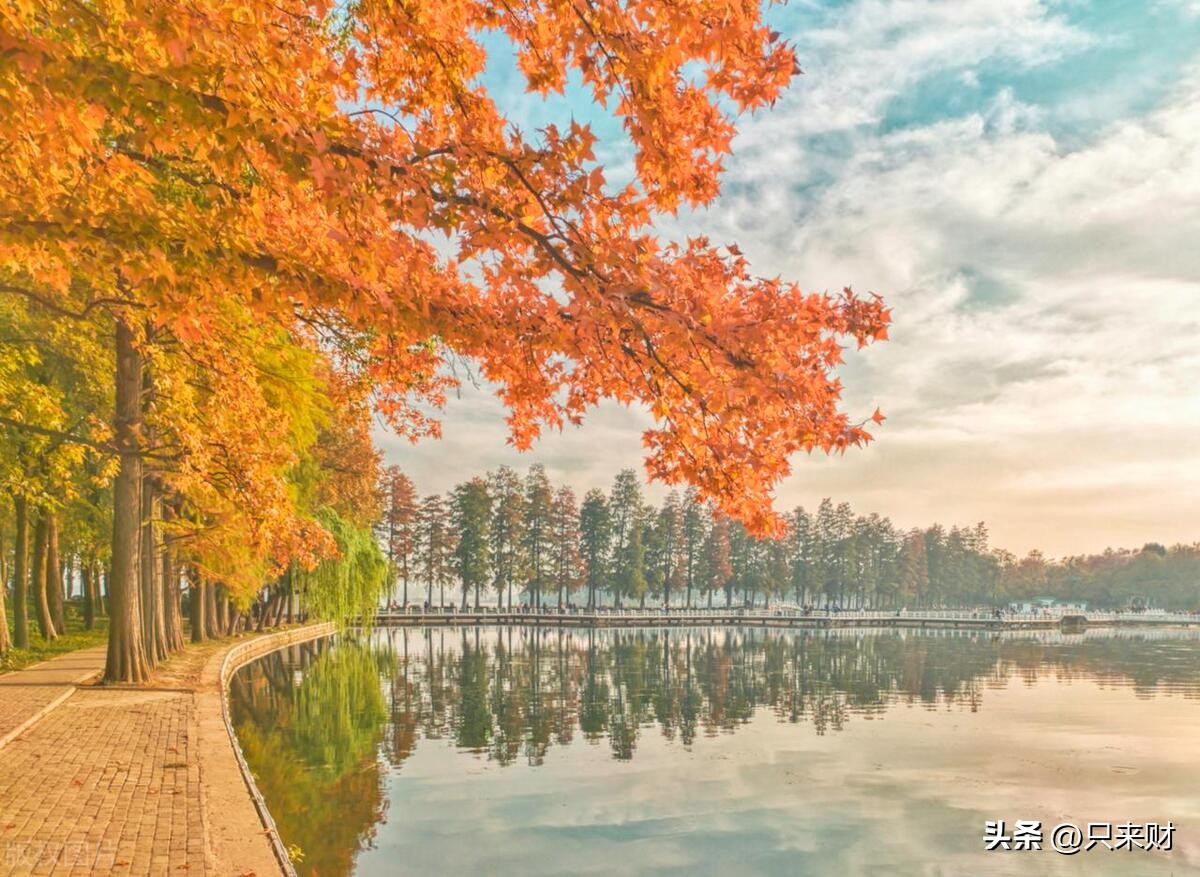 中国最难考的20所大学,中国985最好的20所大学名单排名